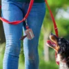 mature woman with Brittany dog at the leash personalizowany dozownik RPET na woreczki na psie odchody