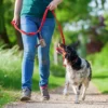 mature woman with Brittany dog at the leash personalizowany dozownik RPET na woreczki na psie odchody