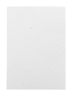 AP716879__B niestandardowy notatnik z papieru nasiennego