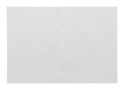 AP716879__C niestandardowy notatnik z papieru nasiennego