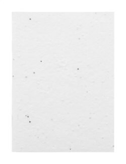 AP716880__B niestandardowy notatnik z papieru nasiennego