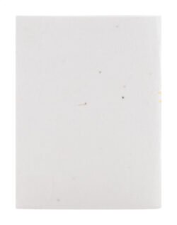 AP716881__D niestandardowy notatnik z papieru nasiennego