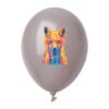 AP718093-78__BC balon, pastelowe kolory