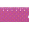 AP718345-A__BC linijka 15cm, dom