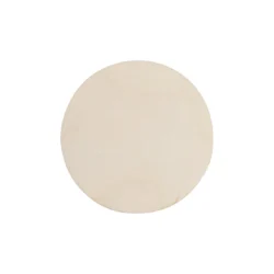 AP718381-A__A magnes