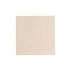 AP718381-C__A magnes
