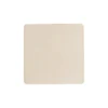 AP718381-C__A magnes