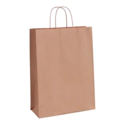 Two paper shopping bags with handles torba papierowa