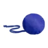 AP721147-06__A torba