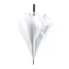 parasol