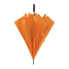 parasol