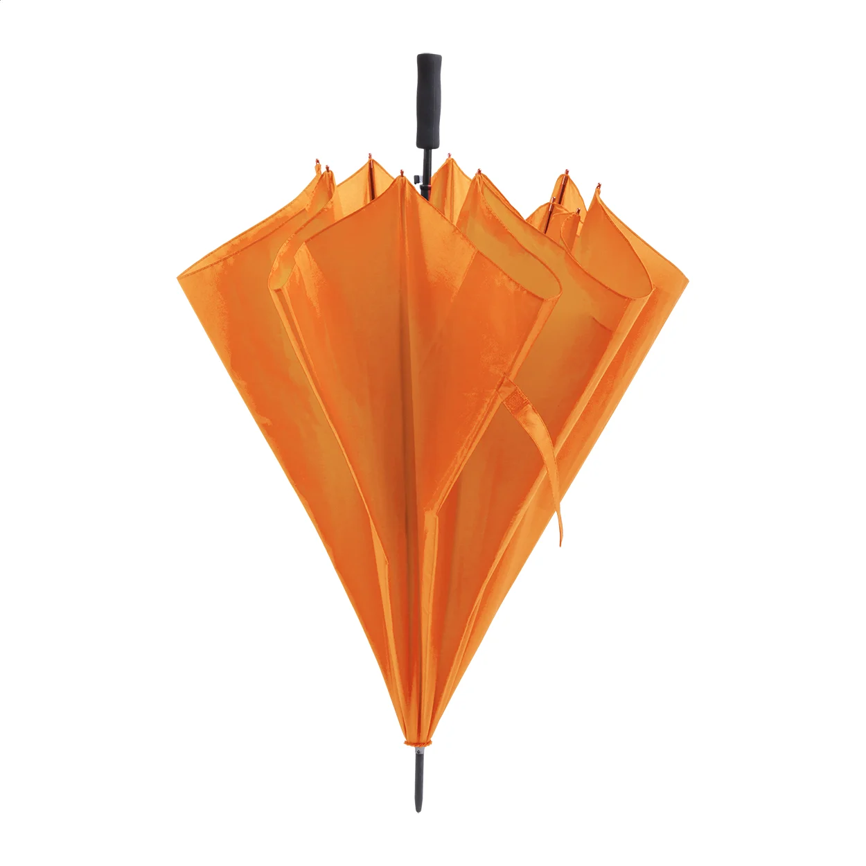 parasol