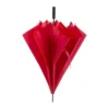 AP721148-05 parasol