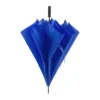 AP721148-06 parasol