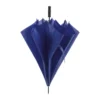 AP721148-06A parasol