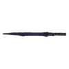 AP721148-06A__A parasol