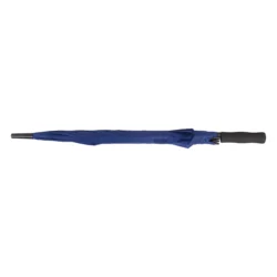 AP721148-06__A parasol