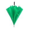 parasol