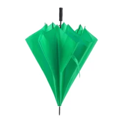 parasol