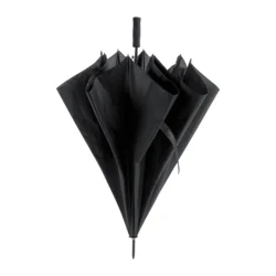 parasol