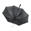 AP721148-10__B parasol