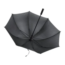 AP721148-10__B parasol
