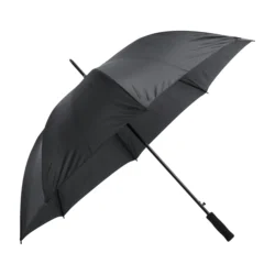 AP721148-10__C parasol