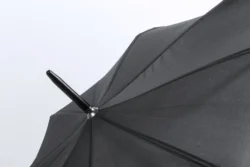 AP721148-10__FC3 parasol