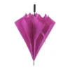 parasol
