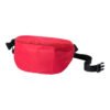 AP721156-05 torba biodrowa
