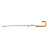 AP721414-01 parasol RPET