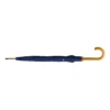AP721414-06A parasol RPET
