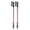 AP721481-05 kijki do nordic walking