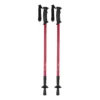 AP721481-05 kijki do nordic walking