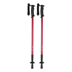 AP721481-05 kijki do nordic walking