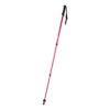 AP721481-05__B kijki do nordic walking