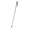 AP721481-05__B kijki do nordic walking