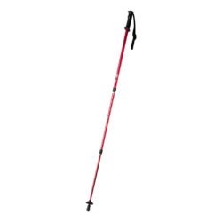 AP721481-05__B kijki do nordic walking