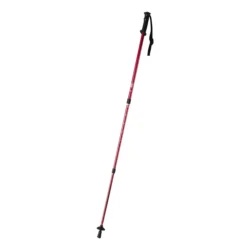 AP721481-05__B kijki do nordic walking