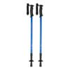 AP721481-06 kijki do nordic walking