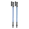 AP721481-06 kijki do nordic walking
