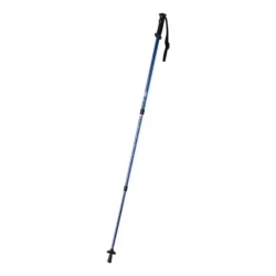 AP721481-06__B kijki do nordic walking