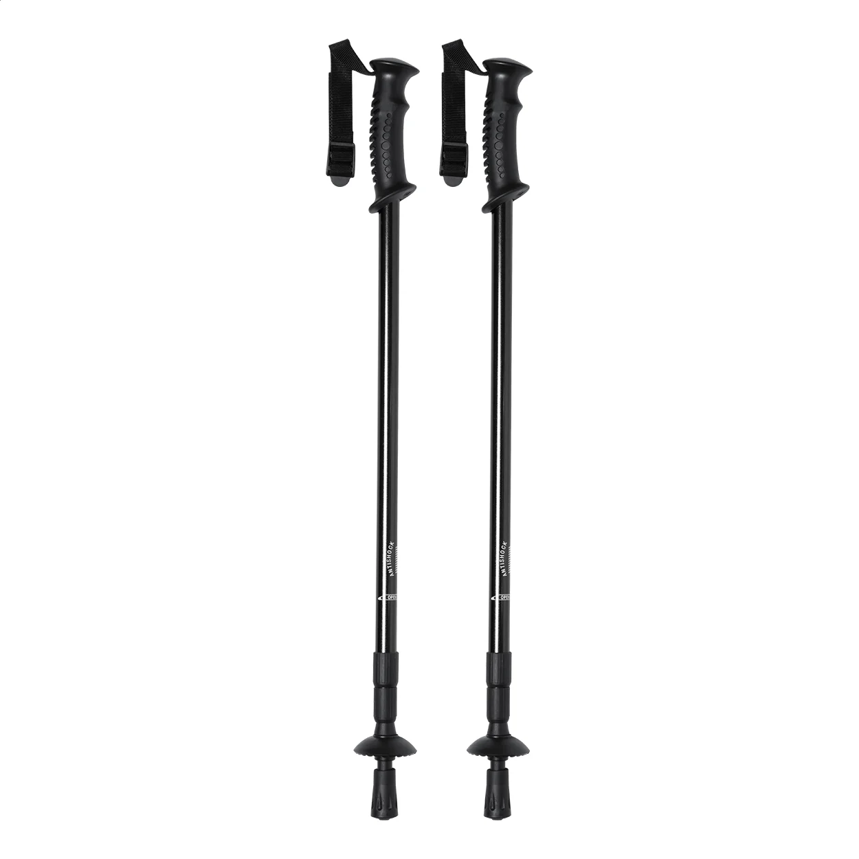 AP721481-10 kijki do nordic walking