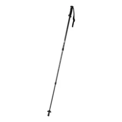 AP721481-10__B kijki do nordic walking