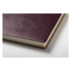 AP721728-08__FC1 notes