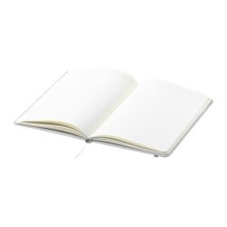AP721880-01__C notes z RPET