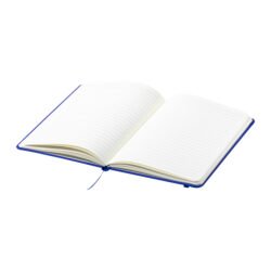 AP721880-06__C notes z RPET