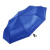 parasol