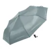 AP721882-77__A parasol