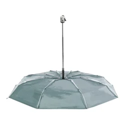 AP721882-77__C parasol